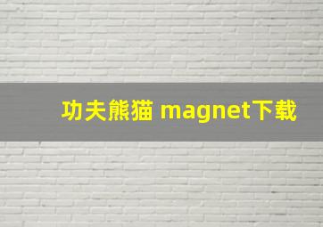 功夫熊猫 magnet下载